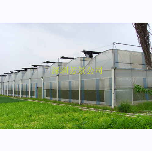 鋸齒型溫室