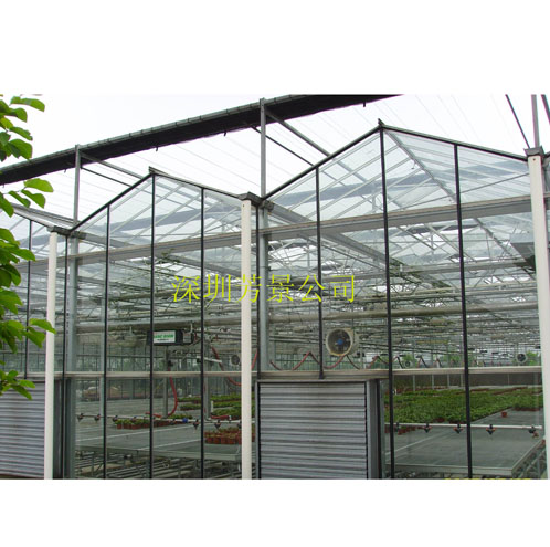 玻璃溫室