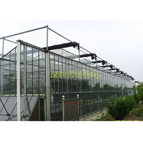 玻璃溫室
